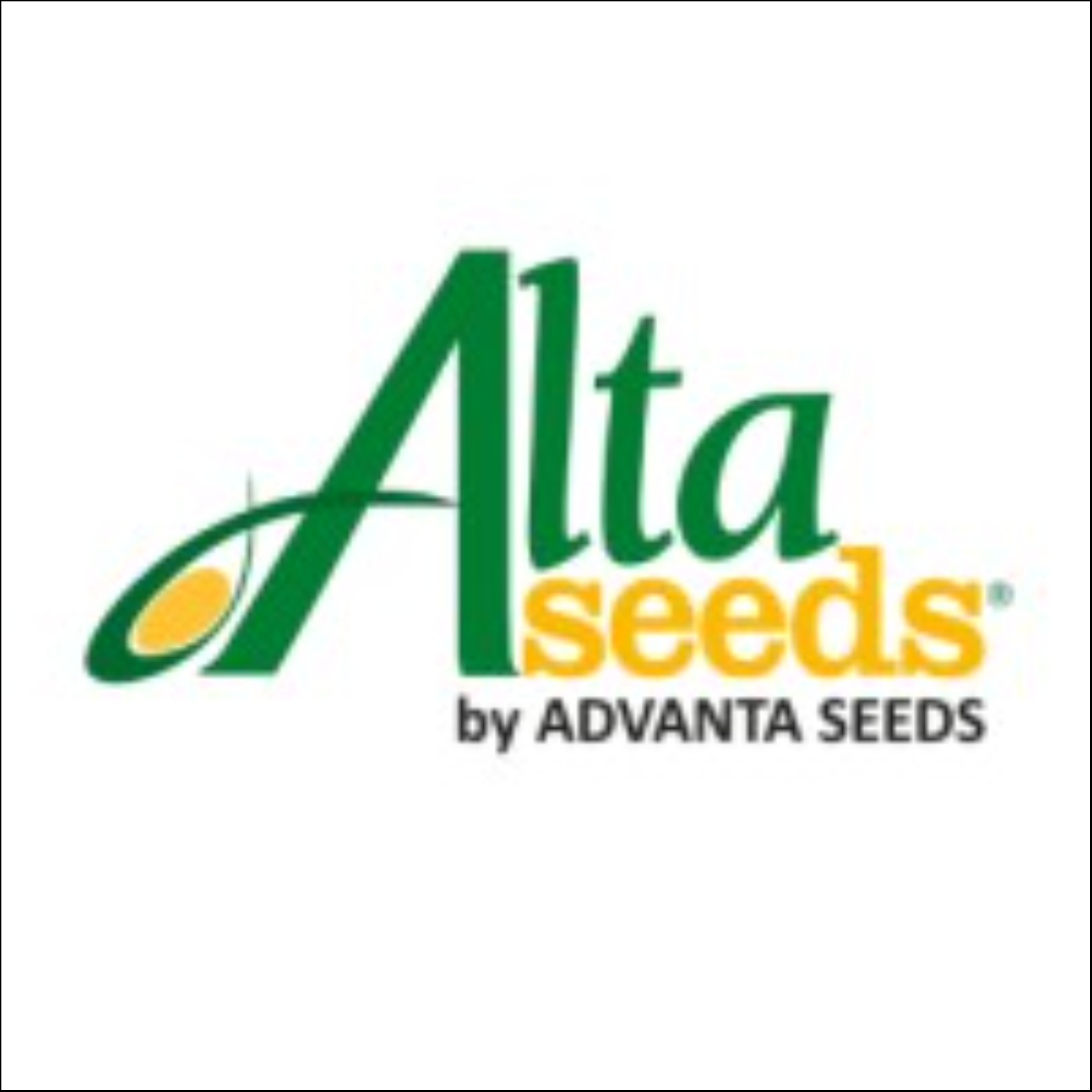 ALTA SEEDS